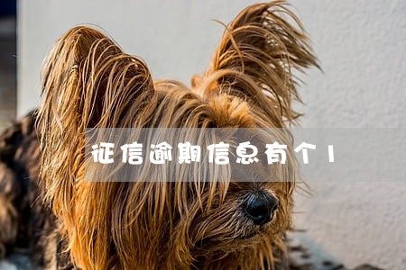 征信逾期信息有个1 征信逾期信息有个1
