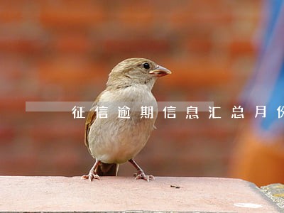 征信逾期信息汇总月份数8 征信逾期信息汇总月份数8