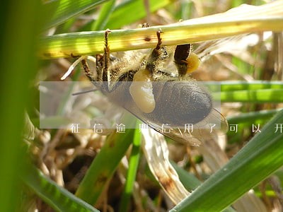 征信逾期信用了可以开户吗 征信逾期信用了可以开户吗