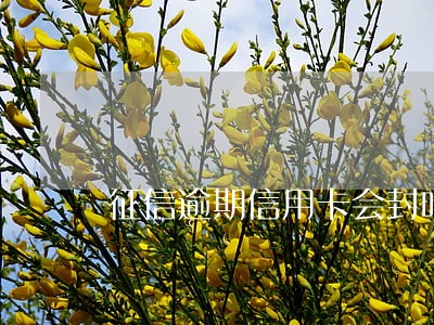 征信逾期信用卡会封吗 征信逾期信用卡会封吗