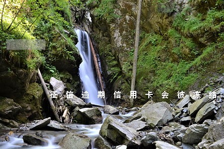 征信逾期信用卡会被冻结吗 征信逾期信用卡会被冻结吗