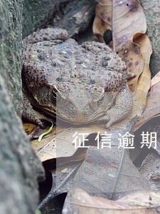 征信逾期信用卡办理 征信逾期信用卡办理