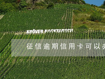 征信逾期信用卡可以办吗