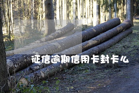 征信逾期信用卡封卡么 征信逾期信用卡封卡么