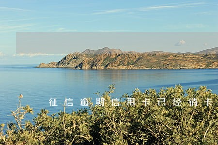 征信逾期信用卡已经销卡 征信逾期信用卡已经销卡