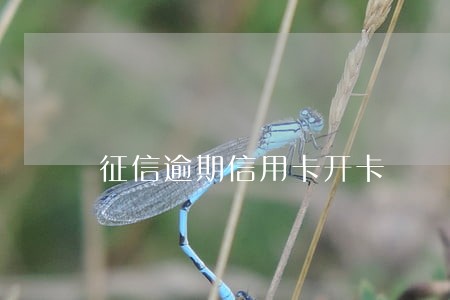 征信逾期信用卡开卡
