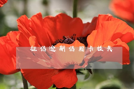 征信逾期信用卡挂失 征信逾期信用卡挂失