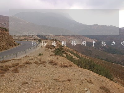 征信逾期信用卡能办吗