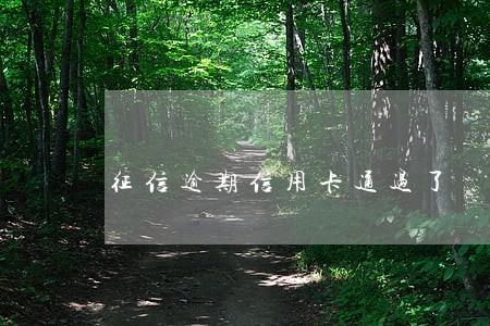 征信逾期信用卡通过了 征信逾期信用卡通过了