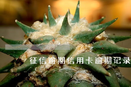 征信逾期信用卡逾期记录 征信逾期信用卡逾期记录