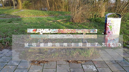 征信逾期信用卡降额了怎么办 征信逾期信用卡降额了怎么办
