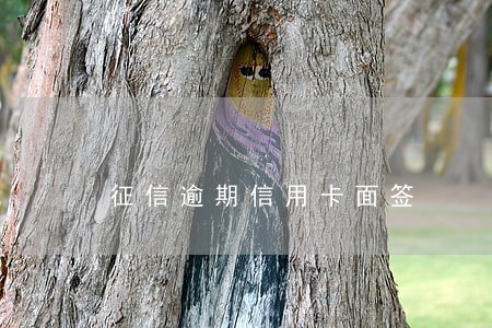 征信逾期信用卡面签 征信逾期信用卡面签