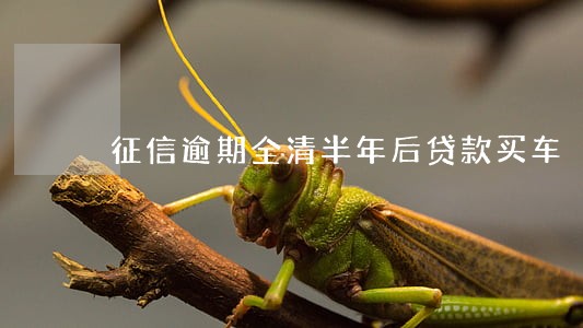 征信逾期全清半年后贷款买车 征信逾期全清半年后贷款买车
