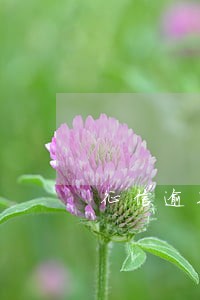 征信逾期公积金能贷款吗 征信逾期公积金能贷款吗