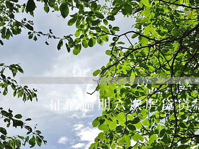 征信逾期六次房贷贷款通过了 征信逾期六次房贷贷款通过了