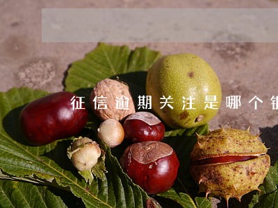 征信逾期关注是哪个银行 征信逾期关注是哪个银行