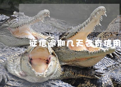 征信逾期几天会有信用记录 征信逾期几天会有信用记录