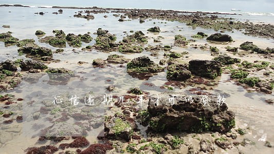 征信逾期几年才可以贷款 征信逾期几年才可以贷款