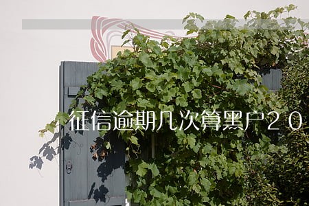 征信逾期几次算黑户2020 征信逾期几次算黑户2020
