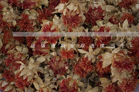征信逾期出现连续三个1 征信逾期出现连续三个1