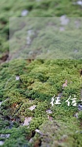 征信逾期刚好5笔影响贷款么 征信逾期刚好5笔影响贷款么