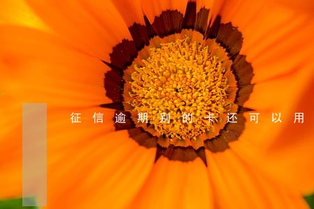 征信逾期别的卡还可以用吗