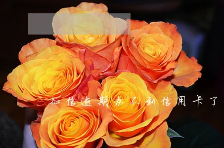 征信逾期办不到信用卡了 征信逾期办不到信用卡了