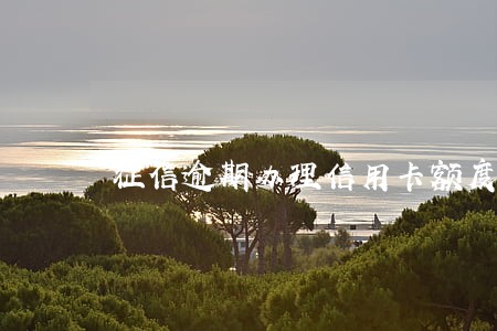 征信逾期办理信用卡额度高吗