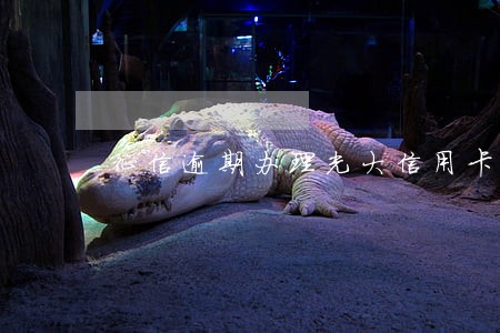 征信逾期办理光大信用卡