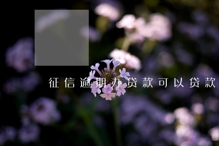 征信逾期办贷款可以贷款吗 征信逾期办贷款可以贷款吗