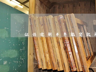 征信逾期半年能贷款买车吗 征信逾期半年能贷款买车吗