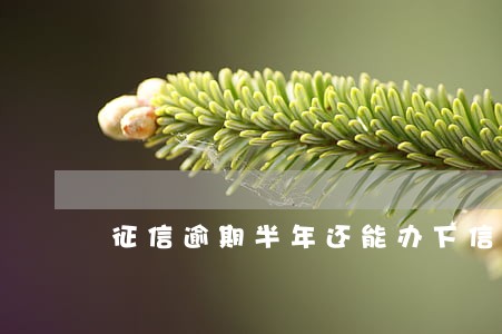 征信逾期半年还能办下信用卡 征信逾期半年还能办下信用卡