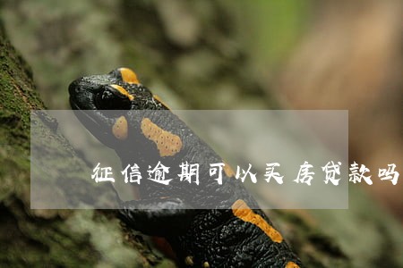 征信逾期可以买房贷款吗 征信逾期可以买房贷款吗