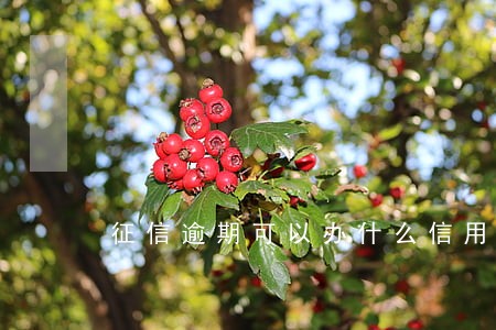 征信逾期可以办什么信用卡 征信逾期可以办什么信用卡