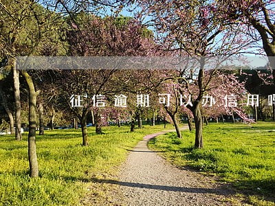 征信逾期可以办信用吗 征信逾期可以办信用吗
