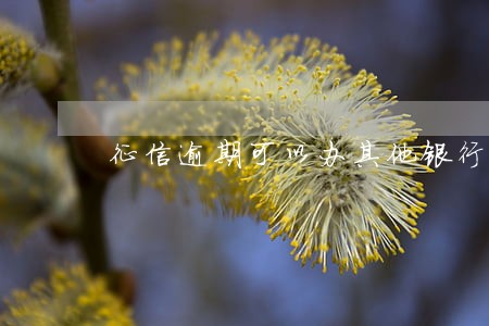 征信逾期可以办其他银行储蓄卡吗 征信逾期可以办其他银行储蓄卡吗