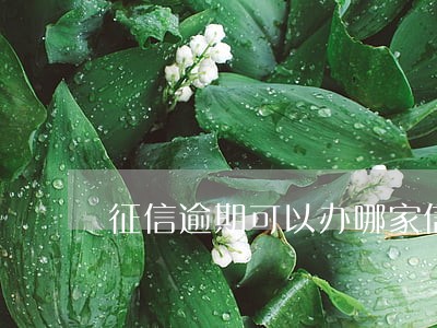 征信逾期可以办哪家信用卡 征信逾期可以办哪家信用卡