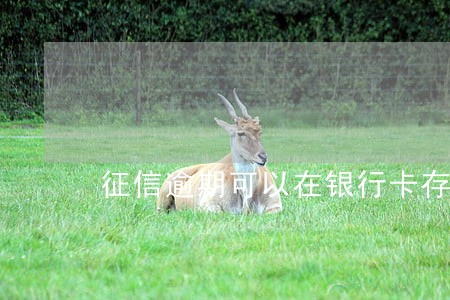 征信逾期可以在银行卡存钱吗 征信逾期可以在银行卡存钱吗