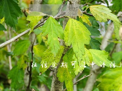 征信逾期可以申请信用卡么 征信逾期可以申请信用卡么
