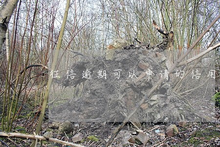 征信逾期可以申请的信用卡