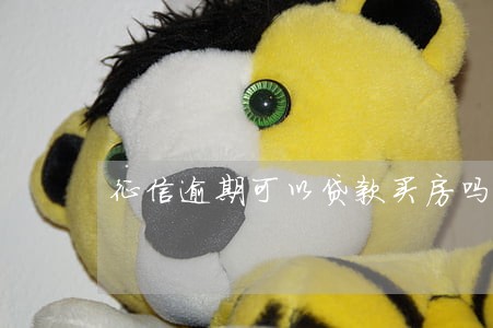 征信逾期可以贷款买房吗 征信逾期可以贷款买房吗