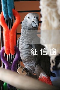 征信逾期可以贷款的网站 征信逾期可以贷款的网站