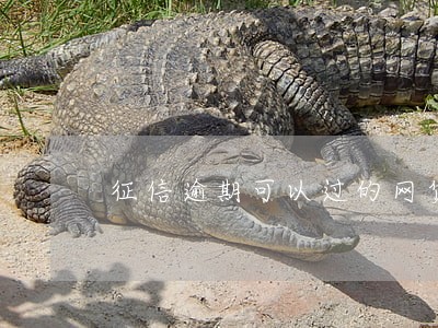 征信逾期可以过的网贷