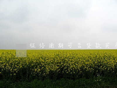 征信逾期可否贷款买房 征信逾期可否贷款买房