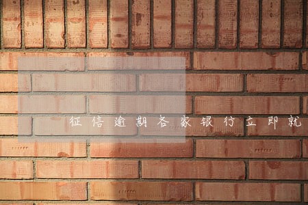 征信逾期各家银行立即就查到 征信逾期各家银行立即就查到