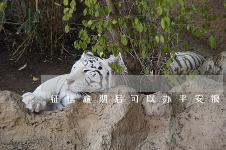 征信逾期后可以办平安银行卡吗