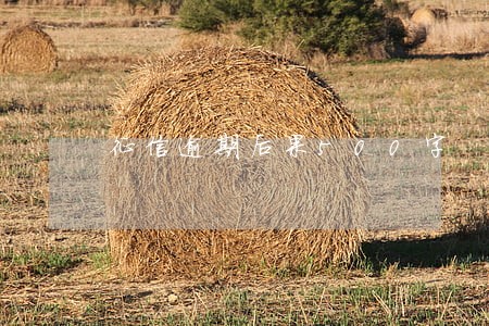 征信逾期后果500字 征信逾期后果500字