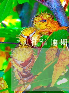 征信逾期后能上银行吗