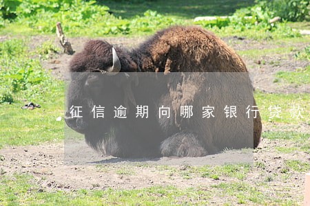 征信逾期向哪家银行贷款 征信逾期向哪家银行贷款