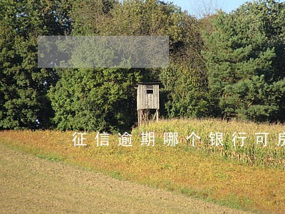 征信逾期哪个银行可房贷 征信逾期哪个银行可房贷